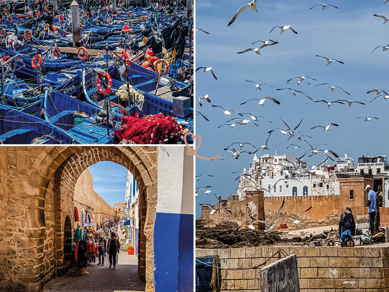 Porquê visitar Essaouira? as nossas 10 razões